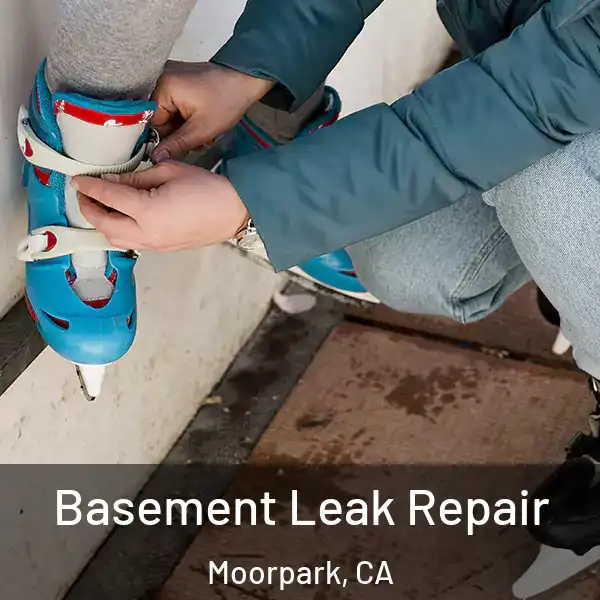  Basement Leak Repair Moorpark, CA