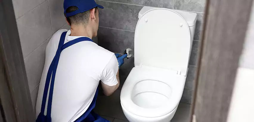 Toilet Lid Replacement in Moorpark