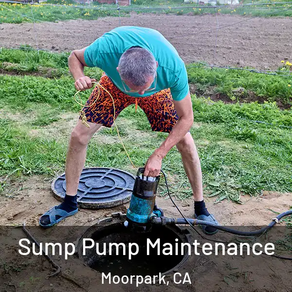  Sump Pump Maintenance Moorpark, CA