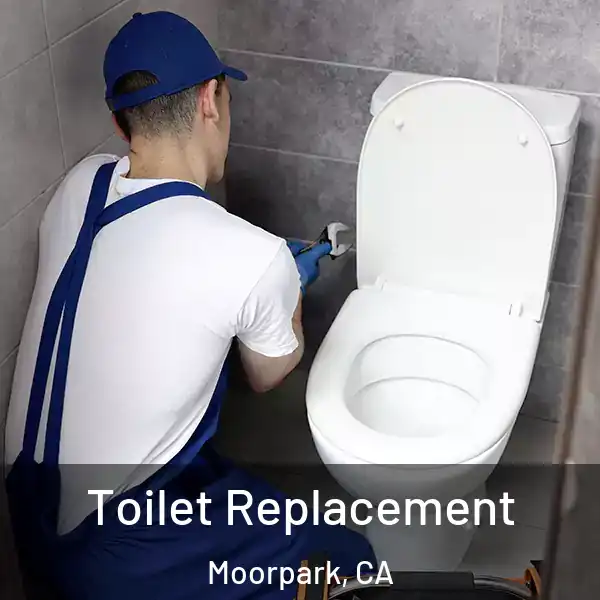  Toilet Replacement Moorpark, CA